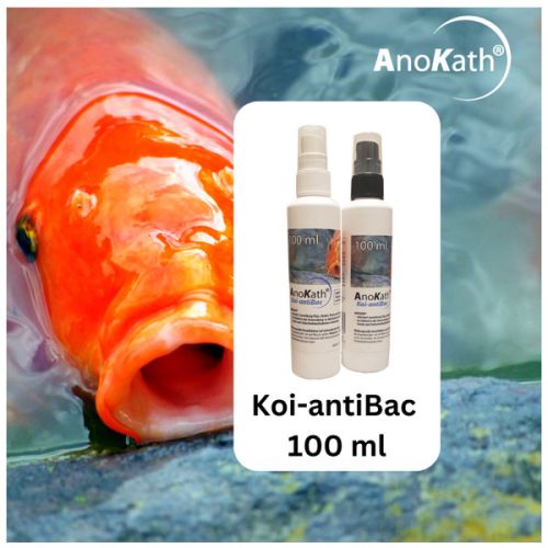 ANOKATH Koi - antiBac 100 ml Bundle